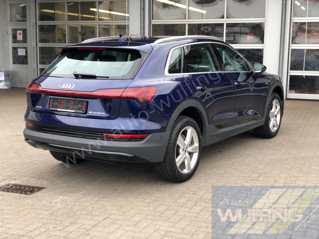 Audi e-tron 50 Quattro AHK Standhzg. 
