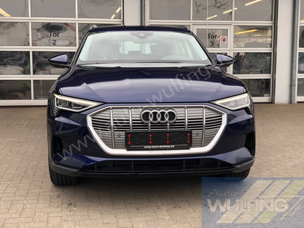 Audi e-tron 50 Quattro AHK Standhzg. 