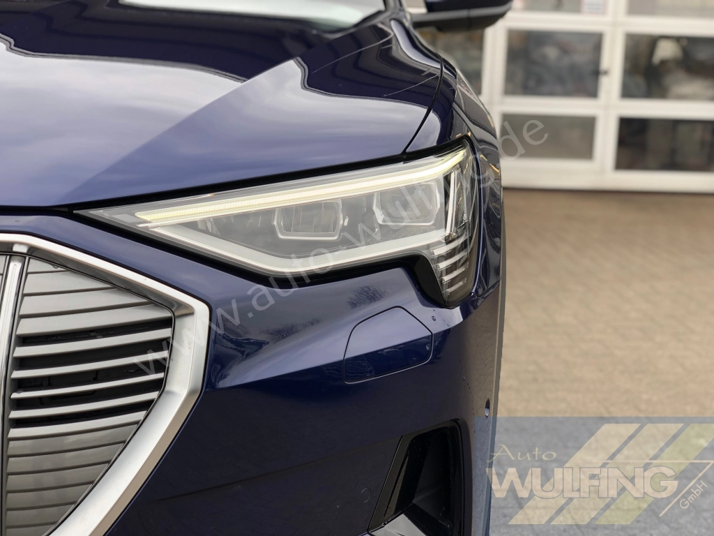 Audi e-tron 50 Quattro AHK Standhzg. 