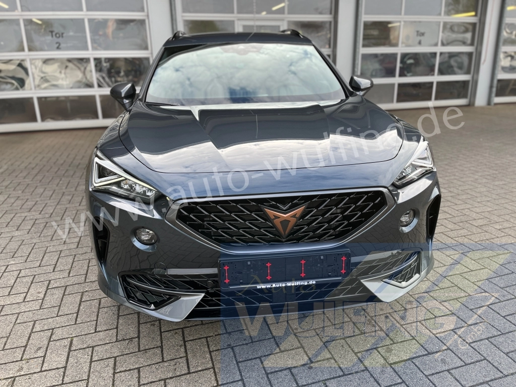 CUPRA Formentor 1,5TSI OPF DSG Leder ACC Kamera Beats
