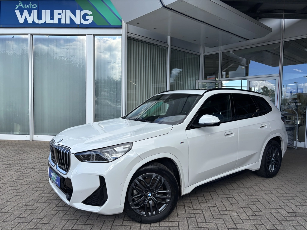 BMW X1 23d M-Sport xDrive Pano el.Heckklappe ACC CAM 