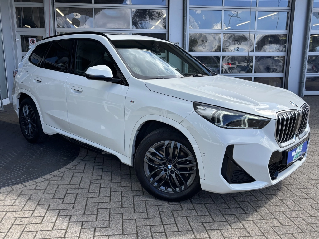 BMW X1 23d M-Sport xDrive Pano el.Heckklappe ACC CAM 