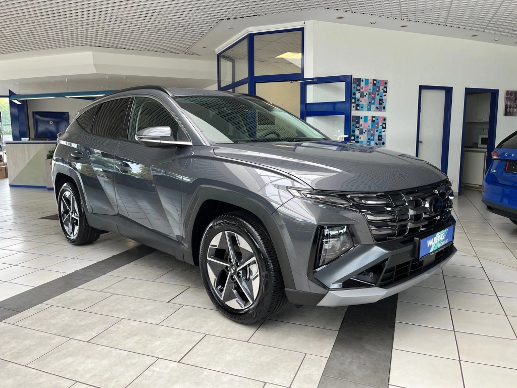Hyundai TUCSON 1.6 T-GDI-DCT MHEV Trend, Matrix-LED,+++
