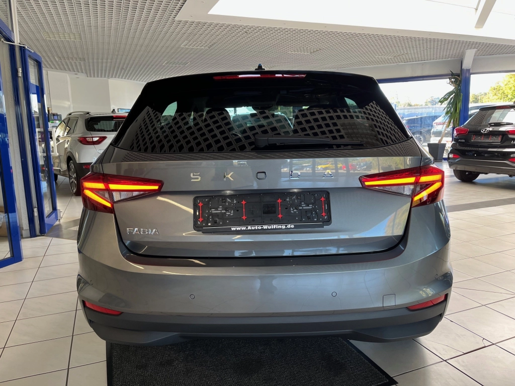 Skoda Fabia 1.0 TSI-DSG-115PS Top-Selection