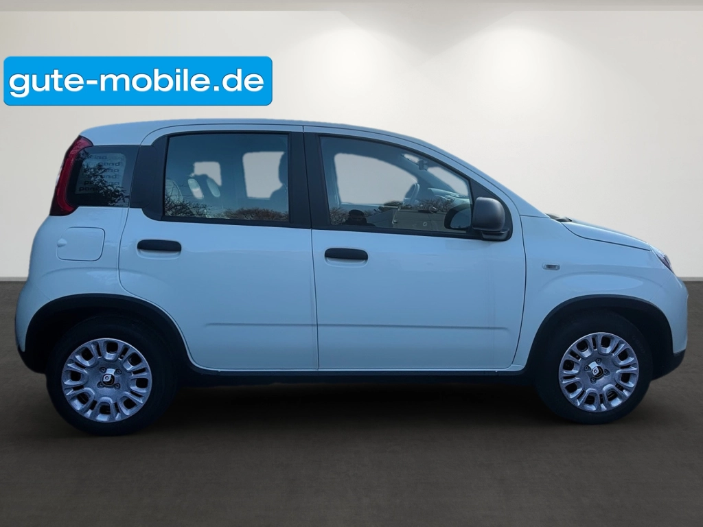 Fiat Panda Pandina Hybrid MY25 70PS 