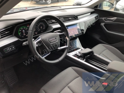 Audi e-tron 50 Quattro AHK Standhzg. 