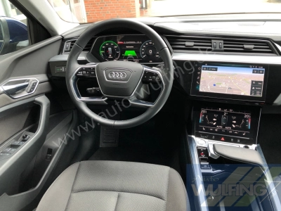 Audi e-tron 50 Quattro AHK Standhzg. 