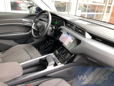 Audi e-tron 50 Quattro AHK Standhzg. 