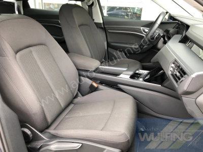 Audi e-tron 50 Quattro AHK Standhzg. 