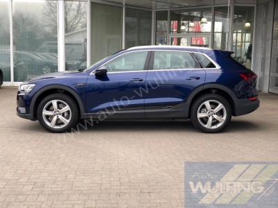 Audi e-tron 50 Quattro AHK Standhzg. 