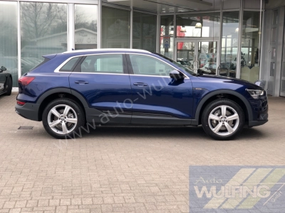 Audi e-tron 50 Quattro AHK Standhzg. 
