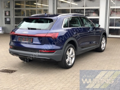 Audi e-tron 50 Quattro AHK Standhzg. 