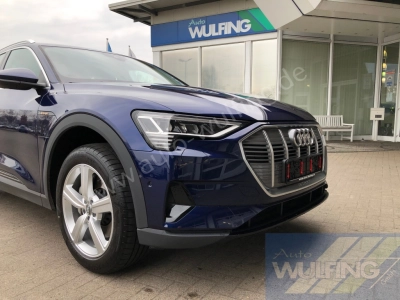 Audi e-tron 50 Quattro AHK Standhzg. 