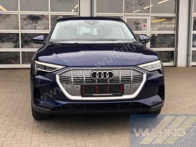 Audi e-tron 50 Quattro AHK Standhzg. 