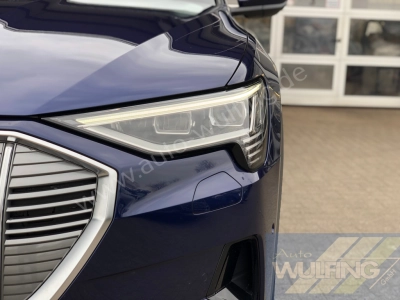 Audi e-tron 50 Quattro AHK Standhzg. 
