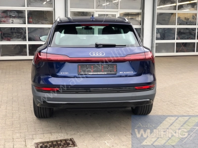 Audi e-tron 50 Quattro AHK Standhzg. 