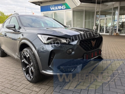 CUPRA Formentor 1,5TSI OPF DSG Leder ACC Kamera Beats