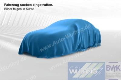 MINI Countryman DKG Classic Trim el. Heckklappe Navi
