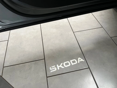 Skoda Karoq 1.5 TSI DSG SPORTLINE,Matrix,AHK,ACC,RFK,+