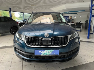 Skoda Kodiaq 2.0 TDI-DSG 4x4 Style,AHK,ACC,RFK,CANTON