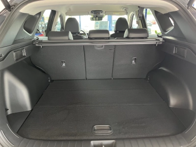 Hyundai TUCSON 1.6 T-GDI-DCT MHEV Trend, Matrix-LED,+++