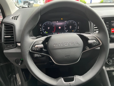 Skoda Karoq 1.5 TSI DSG+AHK+RFK+ACC+Navi+el.Heckkl.++
