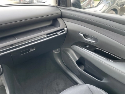 Hyundai TUCSON 1.6 T-GDI-DCT MHEV Trend, Matrix-LED,+++