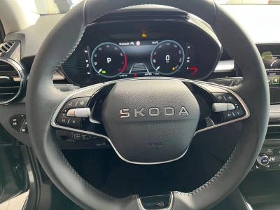 Skoda Fabia 1.0 TSI-DSG-115PS Top-Selection