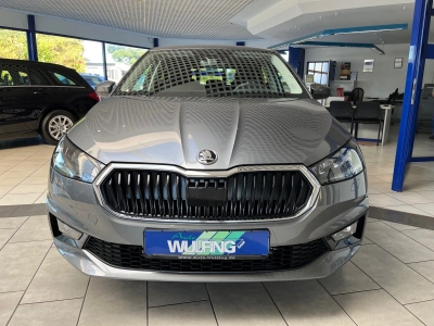 Skoda Fabia 1.0 TSI-DSG-115PS Top-Selection