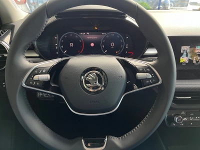 Skoda Fabia 1.0 TSI-DSG-115PS Top-Selection