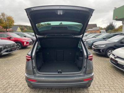 Skoda Karoq 1.5 TSI DSG+AHK+RFK+ACC+Navi+el.Heckkl.++