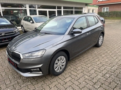 Skoda Fabia 1.0 TSI Essence,Sitzheiz,GRA,PDC,LED-SW