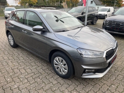 Skoda Fabia 1.0 TSI Essence,Sitzheiz,GRA,PDC,LED-SW