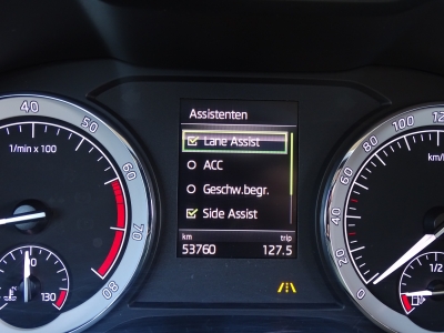 Skoda Kodiaq 1.5 TSI / Ambition Soleil / DSG / LED / Leder