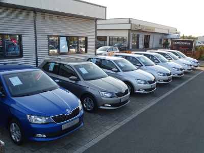 Skoda Kodiaq 1.5 TSI / Ambition Soleil / DSG / LED / Leder