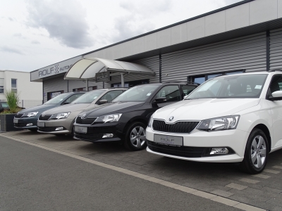 Skoda Kodiaq 1.5 TSI / Ambition Soleil / DSG / LED / Leder