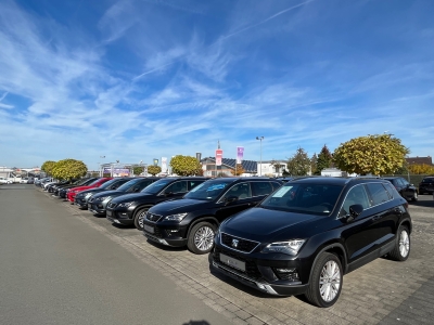 VW Taigo 1.0 Life*NAVI*DAB*LED*SHZG* APP C*SHZG*PDC