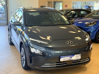 Hyundai KONA Trend*Krell*ST-Heiz*ACC*WMP*R.cam*Navi*SHZ