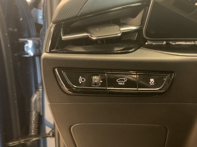 Kia Niro Inspiration*ACC*Ambiente*Leder*SHZ*R.cam