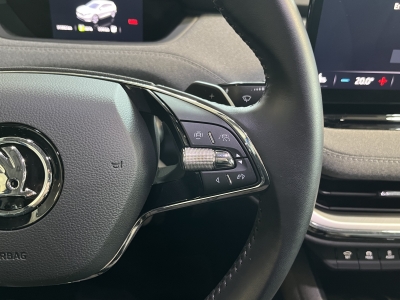 Skoda Enyaq 80 Loft AHK LED Navi R.Cam digCockpit pACC