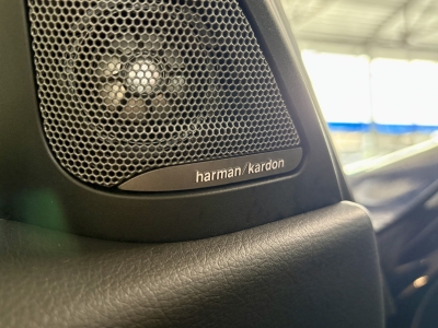 BMW 330 iPerformance M Sport Pano Leder LED Head-Up