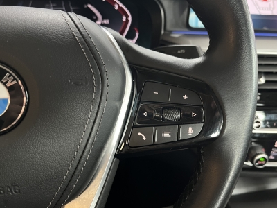 BMW 530 xDrive*MildHyb.*AHK*Leder*LED*R.Cam*Winter-Paket