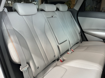 Hyundai NEXO Pano. KRELL 360°Cam ACC LED Navi SHZ PDC