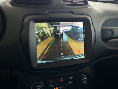 Jeep Renegade Trailhawk 4WD*LED*AHK*R-Cam*DAB*Navi*