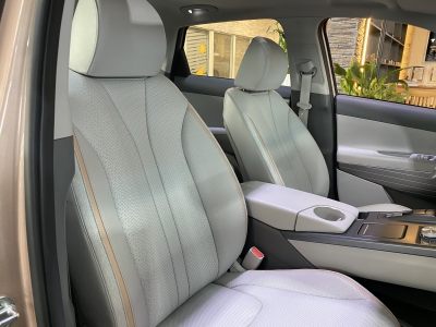 Hyundai NEXO ACC Navi LED Leder R.Cam Spurassist. SHZ