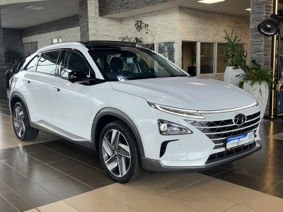 Hyundai NEXO ACC LED R.Cam Navi SHZ PDC BLIS DAB+ Leder