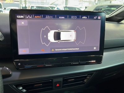 CUPRA Born Wärmepumpe Ambiente-Licht PDC LED SHZ 