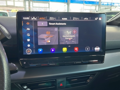 CUPRA Born Wärmepumpe Ambiente-Licht PDC LED SHZ 