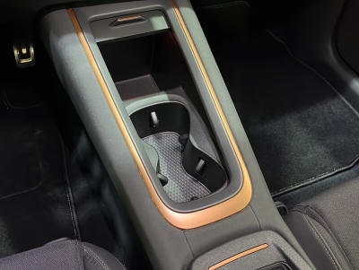 CUPRA Born Wärmepumpe Ambiente-Licht PDC LED SHZ 