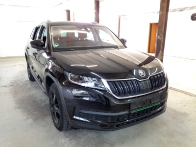 Skoda Kodiaq Style LED Navi R.Cam PDC SHZ DAB+ 